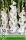 Gladiolus white / Kardvirág fehér 50 db