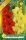 Gladiolus Red-Yellow duo / Kardvirág Piros-Sárga 10 db