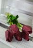 Élethű tulipán - bordó - 45 cm