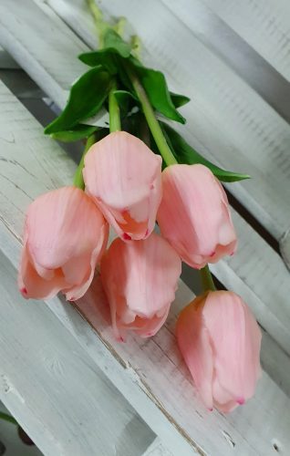 Élethű tulipán - rózsaszín - 45 cm