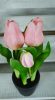 Élethű tulipán cserépben - rózsaszín