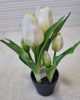 Élethű tulipán cserépben - fehér