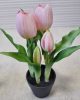 Élethű tulipán cserépben - világosrózsaszín