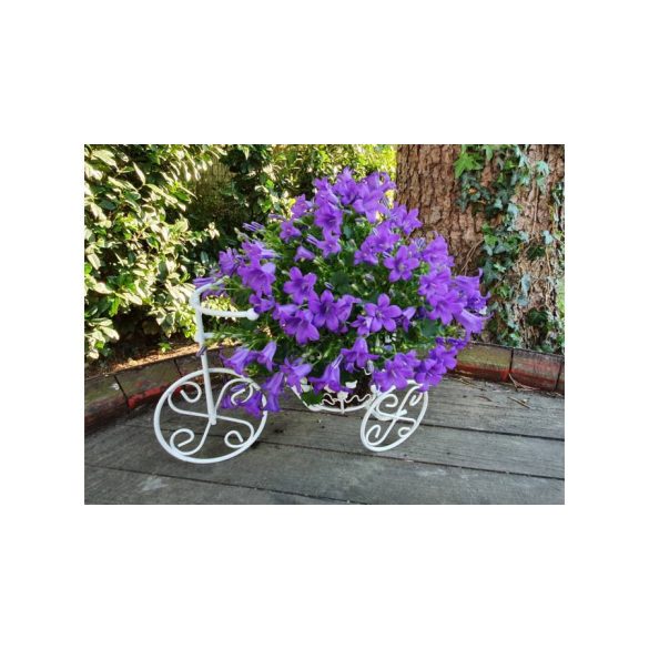 Fém virágtartó bicikli, mini, kerek virágos tartóval